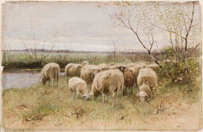 Pecore da Francois Pieter ter Meulen